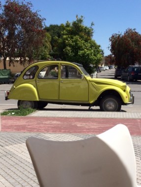 lime citroen