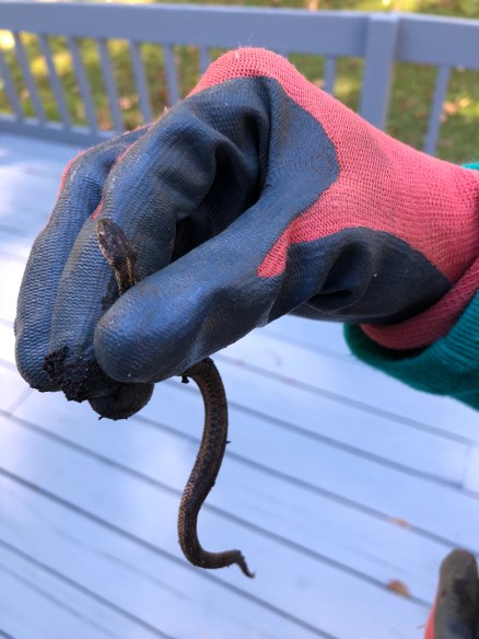 NsVxcFr9SPy5rOB2hKZ6dQ