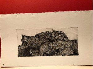 lVViDueWS5yrPJPIFPzufQ