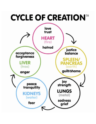 cycle of creation