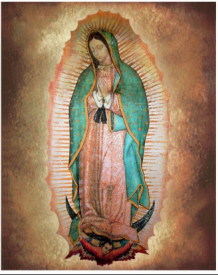 virgen de guadalipe
