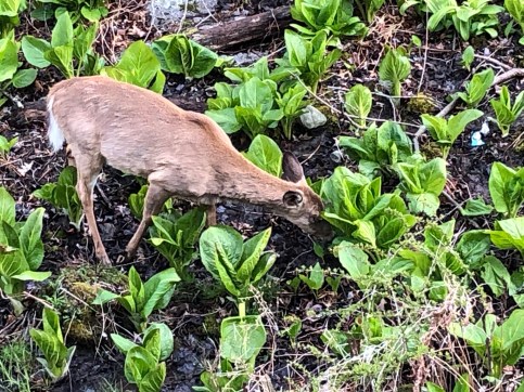 DW5Ox%JYTsylB7yiNEo1Bw