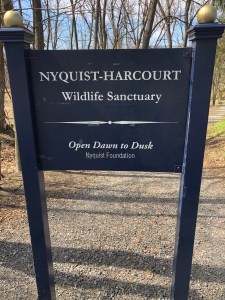 FzgJYZlrSkaivM+QwFvq0g