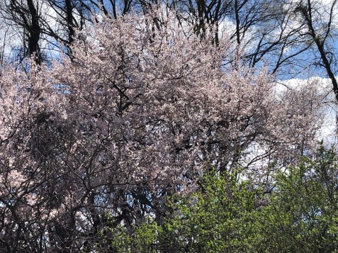 H3aSdPfGSDuXazePjRmuHg