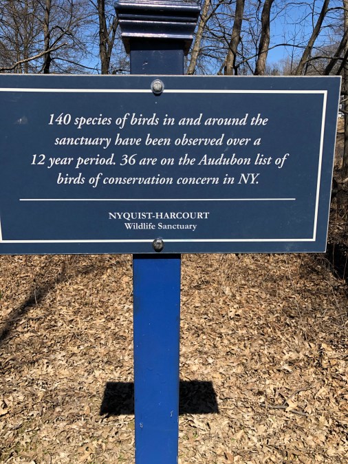 IBn9xlqiRD27ijf8ork8PQ