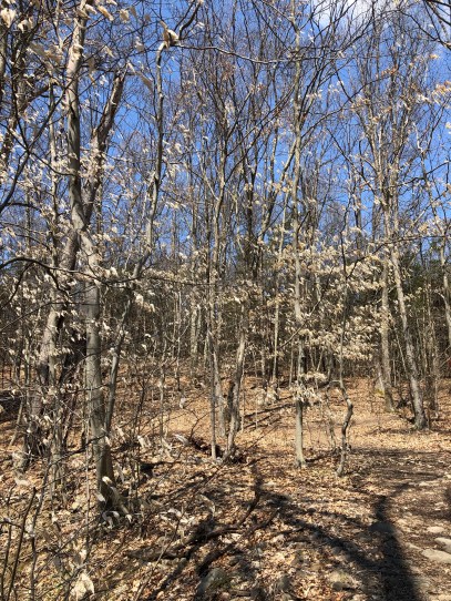 UTUpzbJ7Q4SqFFR0BcRtBw